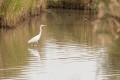 thierry_t brenne sept 2017 3